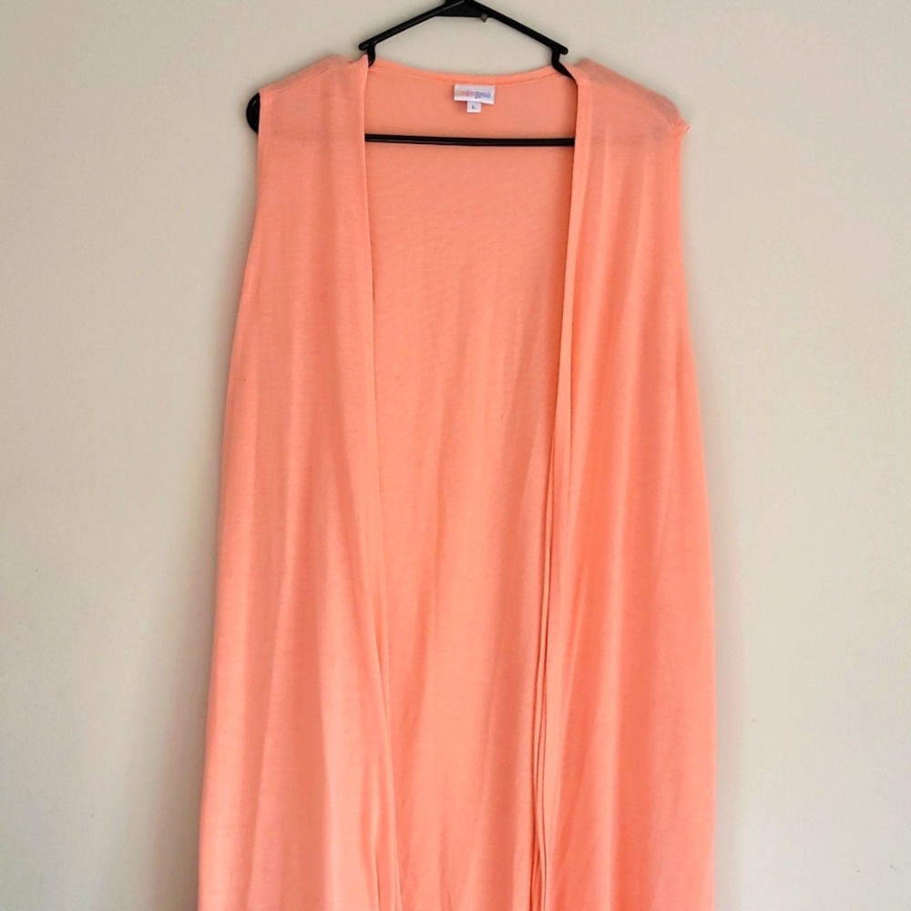 LuLaRoe Joy vest